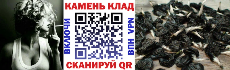 купить наркотик  MEGA маркетплейс  ГАШИШ 40% ТГК  Радужный 