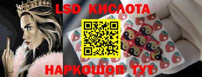 молекула духа Дмитров