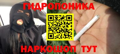 молекула духа Дмитров